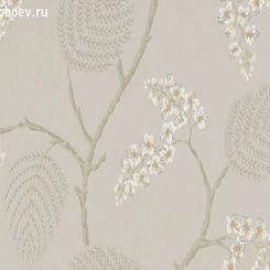 Обои Colefax and Fowler Celestine