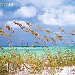 Обои KOMAR Фотообои