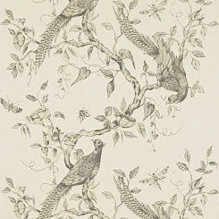 Обои Zoffany Darnley
