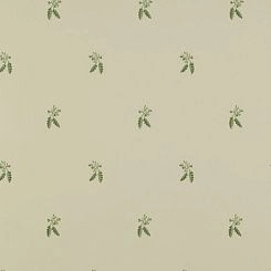 Обои Colefax and Fowler Ashbury