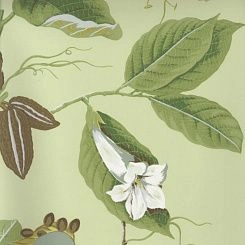 Обои Pierre Frey Boussac Wallpapers I