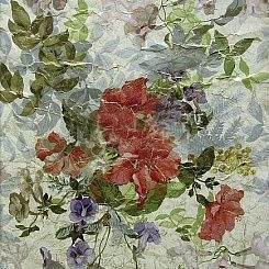 Обои Zuber Roses Anciennes