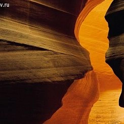 Обои KOMAR Фотообои