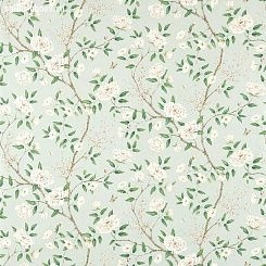 Обои Zoffany Woodville Papers