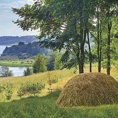 Фрески/Панно ORTOGRAF