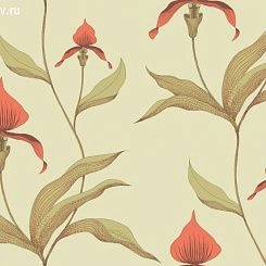 Обои Cole & Son Contemporary Selection