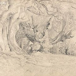 Фрески/Панно Affresco Графика и Карты