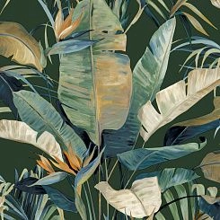 Обои York Candice Olson Natural Discovery