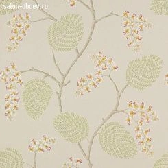 Обои Colefax and Fowler Jardine Florals