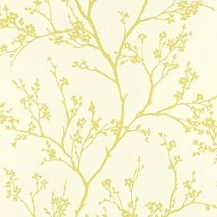 Обои Schumacher Modern Nature