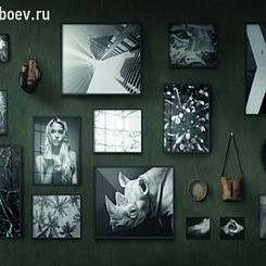 Обои KT Exclusive  Vanilla Lime