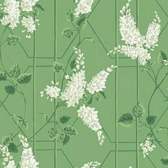 Обои Cole & Son Botanical Botanica