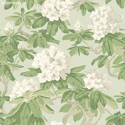 Обои Cole & Son Folie