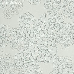 Обои Paint & Paper Library Tresco