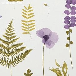 Обои Clarke & Clarke Botanica