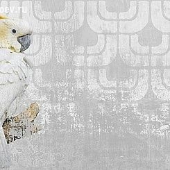 Фотообои Wall&deco Gio Pagani 13