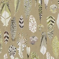 Обои Designers Guild Tulipa Stellata
