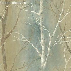Обои KT Exclusive  Sage II