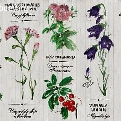 Фотообои Wall&deco Life 15