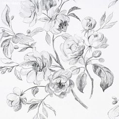 Обои Designers Guild Edit Florals