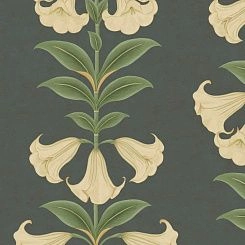 Обои Cole & Son Seville