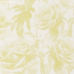 Обои Clarke & Clarke Floribunda