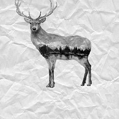 Фотообои Wall Street Grayscale