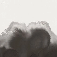 Обои Coordonne GEOхимия