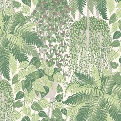 Обои Cole & Son Botanical Botanica