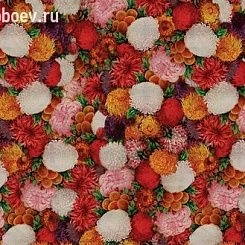 Фотообои Wall&deco Wet 14
