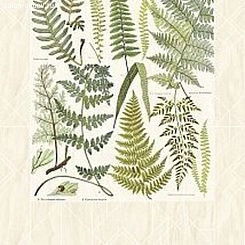 Обои Eijffinger Geonature