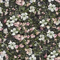 Обои Coordonne Naturae