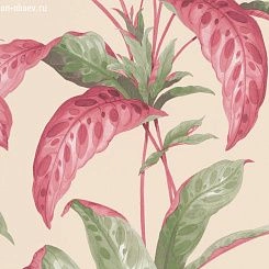 Обои Paint & Paper Library Botany