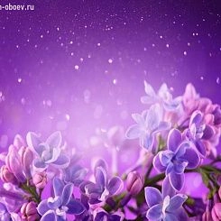 Фрески/Панно PINEGIN Цветы