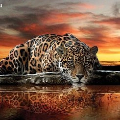 Обои For Wall Фотообои