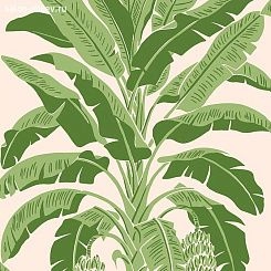 Обои Thibaut Palm Grove