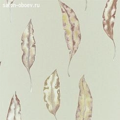 Обои Harlequin ANTHOZOA