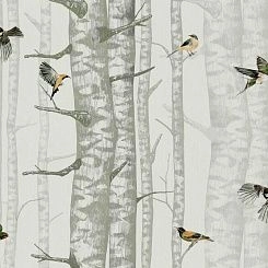 Обои Coordonne Naturae