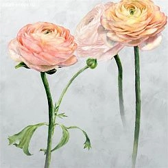 Обои Designers Guild Foscari Fresco with paint Litho