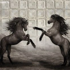 Фотообои Wall Street Allusion