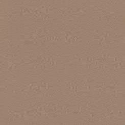 Обои Rasch African Queen III