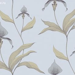 Обои Cole & Son Contemporary Selection