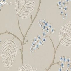 Обои Colefax and Fowler Celestine