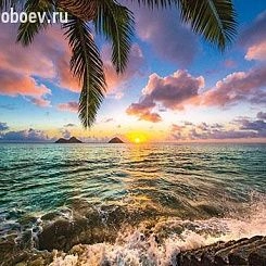 Обои For Wall Фотообои