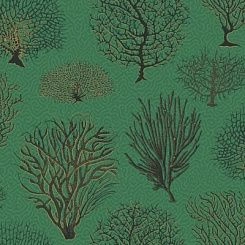 Обои Cole & Son Curio