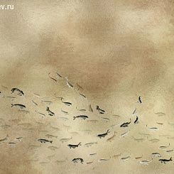 Обои Coordonne Random Metallics