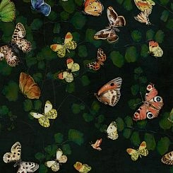 Обои Coordonne Naturae