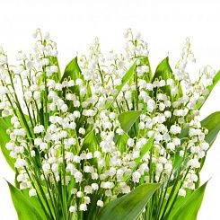 Фрески/Панно PINEGIN Цветы