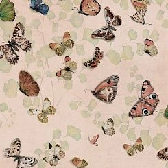 Обои Coordonne Naturae