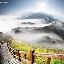 Фотообои ID Wall NO.1
